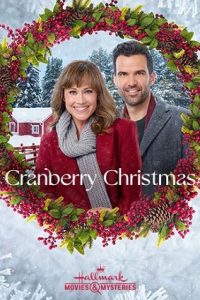 Cranberry Christmas (2020) English (Hindi Subs)x264 WEBRip 480p [260MB] | 720p [703MB] mkv